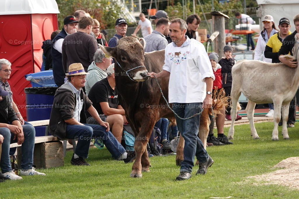 DSC08458 | Schwingen - Realisiert mit Pictrs.com