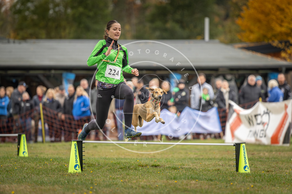 Pfotenfotografie_DV3A3142 | Hundefotografie, Tierfotograf, Pfotenfotografie, Fotoshooting Hund, Hunde Portrait, Hundesport, Hundeportraits, Heideshooting, Hunde, Sportfotograf, Hundefotograf, Turnierhundsport, THS,  - Realisiert mit Pictrs.com