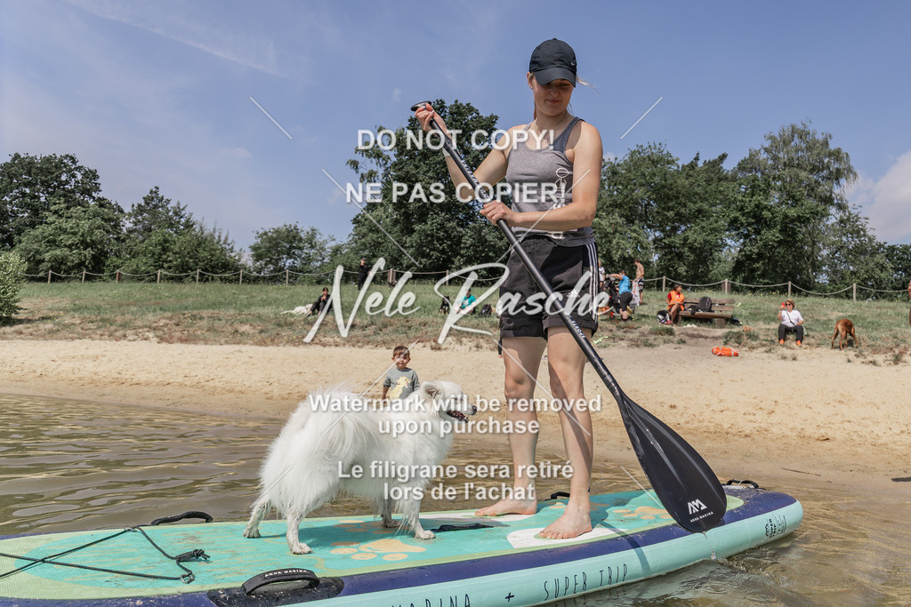 BUHU_SUP_647 | nelerasche