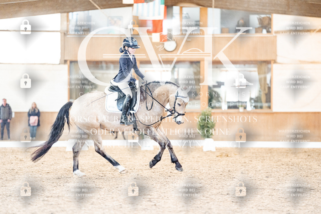 CK907401 | Turnierfotografie Pferdefotografie Trier Rheinland-Pfalz Pferdesport Reitsport Tierfotografie Sportfotografie Pferdevideo Pferdevideografie Equestrianvideography equestrianphotography  - Realisiert mit Pictrs.com