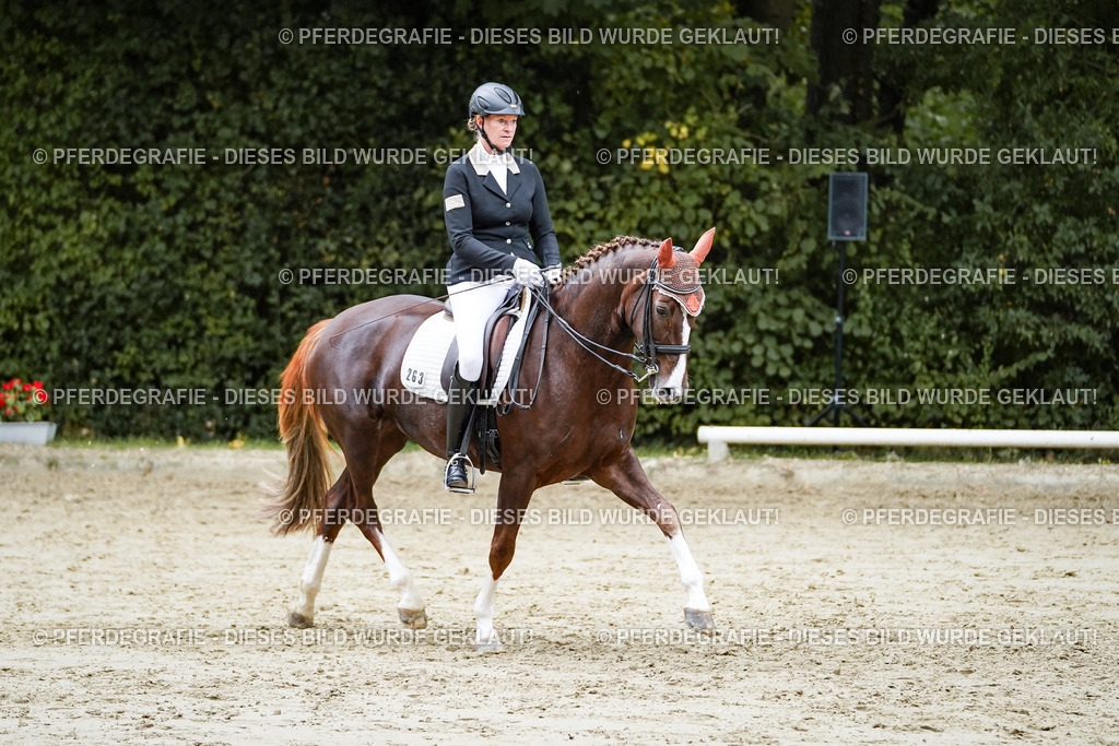 DSC09910 | Pferdegrafie