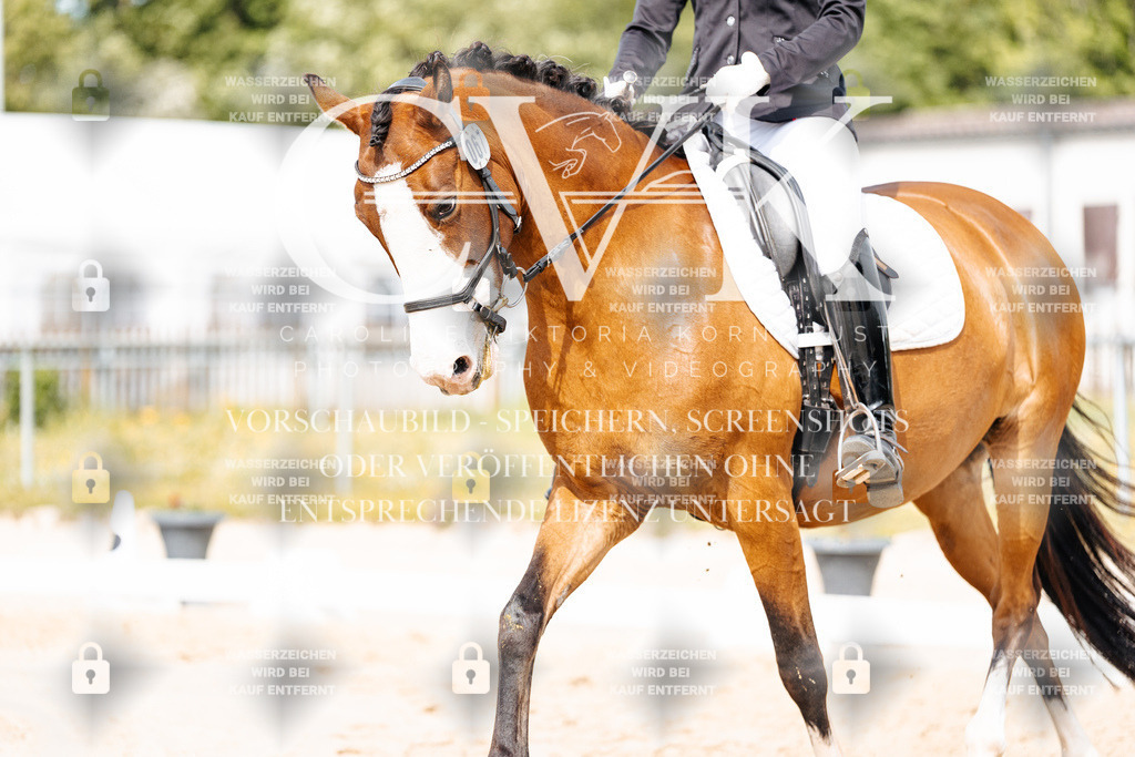 CK901249 | Turnierfotografie Pferdefotografie Trier Rheinland-Pfalz Pferdesport Reitsport Tierfotografie Sportfotografie Pferdevideo Pferdevideografie Equestrianvideography equestrianphotography  - Realisiert mit Pictrs.com