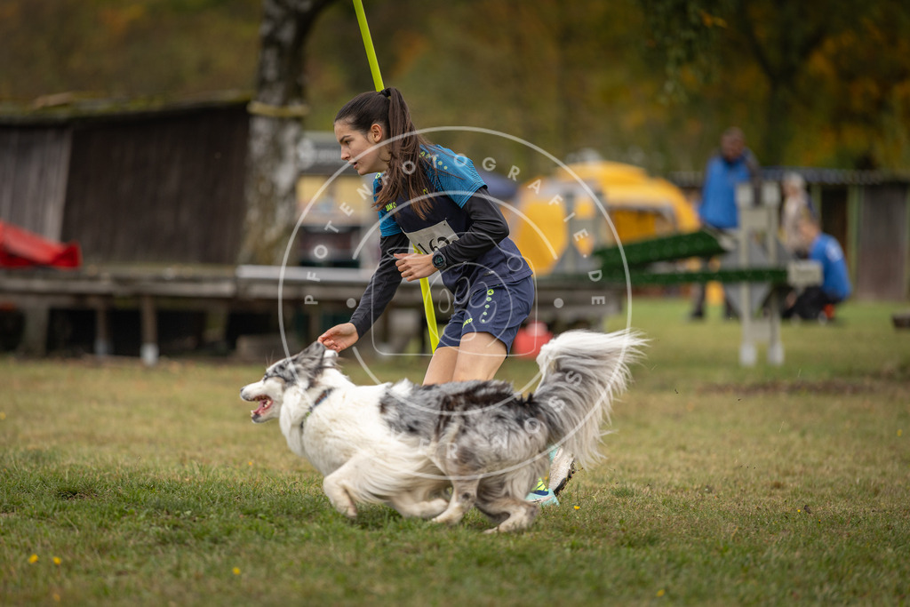 Pfotenfotografie_DV3A4949 | Hundefotografie, Tierfotograf, Pfotenfotografie, Fotoshooting Hund, Hunde Portrait, Hundesport, Hundeportraits, Heideshooting, Hunde, Sportfotograf, Hundefotograf, Turnierhundsport, THS,  - Realisiert mit Pictrs.com