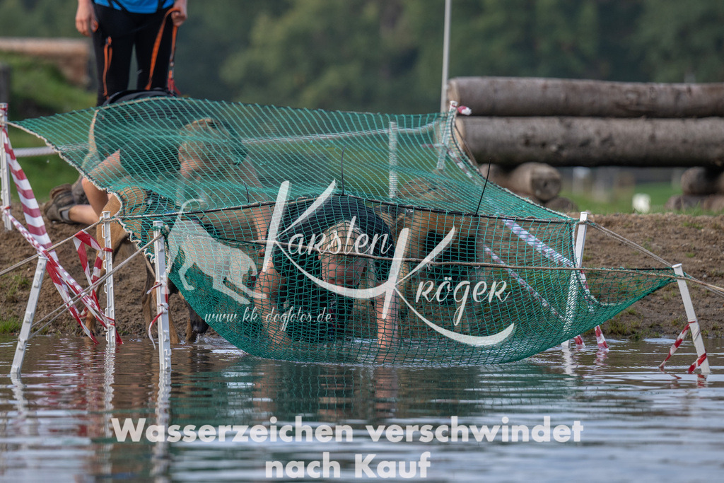 0954_ZZ91299 | kk-dogfotos