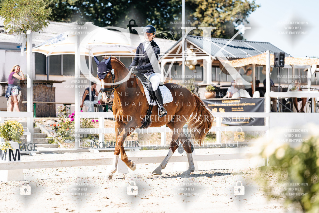CK900063 | Turnierfotografie Pferdefotografie Trier Rheinland-Pfalz Pferdesport Reitsport Tierfotografie Sportfotografie Pferdevideo Pferdevideografie Equestrianvideography equestrianphotography  - Realisiert mit Pictrs.com