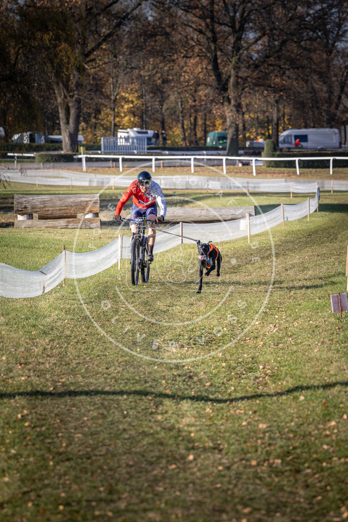CaniXpix_DV3A2707 | Hundefotografie, Tierfotograf, Pfotenfotografie, Fotoshooting Hund, Hunde Portrait, Hundesport, Hundeportraits, Heideshooting, Hunde, Sportfotograf, Hundefotograf, Turnierhundsport, THS,  - Realisiert mit Pictrs.com