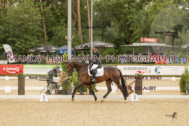 SW 4-521 | mandyhollmannphotographie