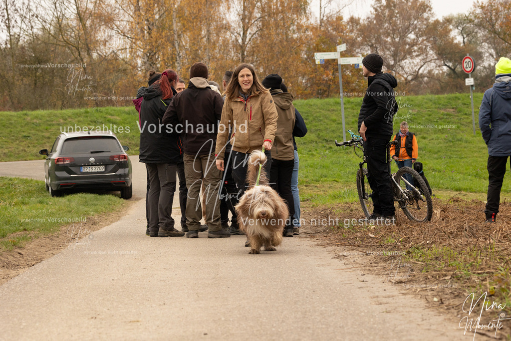 _16A0847 | Einzigartige Fotos von Hunden & Menschen –Actionfotos, Portraits, Vereinsaufnahmen & Paarshootings – authentisch, lebendig & mit Herz.