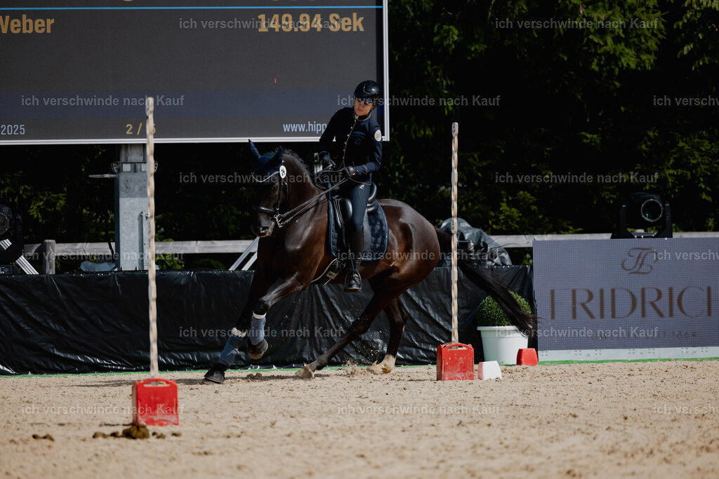 Leonie24_FHC2025-42 | working equitationturnier fotograf videograf stoibphotography marixx film working equitation deutschland reitsport turnierfotografie eventfotografie equestrian events