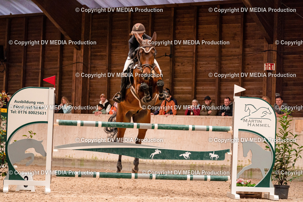 Springen Tag 3-383 | dv-media-shop - Realisiert mit Pictrs.com