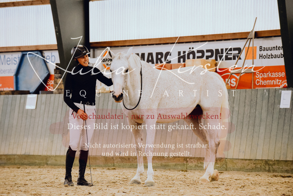 DSC_7001 | Pferde- und Turnierfotografie in Westsachsen. Pferdeportraits, Auftragszeichnungen und intuitive Kunst.