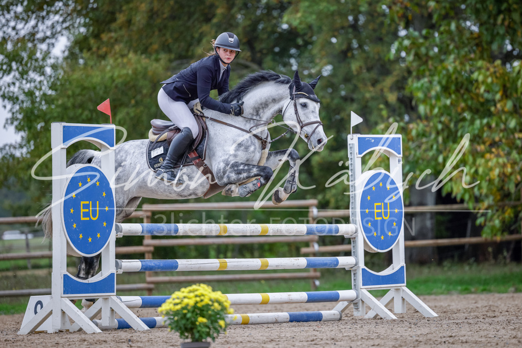 20251012-_3LI4523 | Tierfotografie Pferde, Hunde, Katzen, Haustiere.
Turnierfotografie Reitturniere, Reiten, Springreiten, Dressur in Hanau, dem Main-Kinzig-Kreis und dem Rhein-Main- Gebiet um Frankfurt