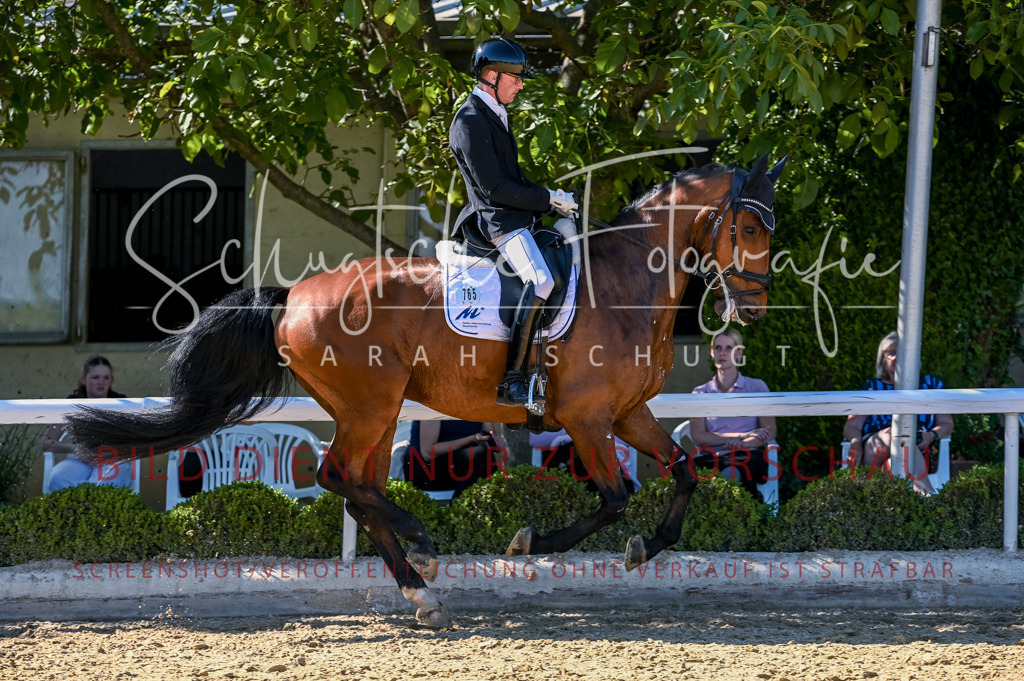 Schugtsche-Aluta25-50.Dressurpferdeprf.L-263 | Schugtsche Fotografie - Realisiert mit Pictrs.com