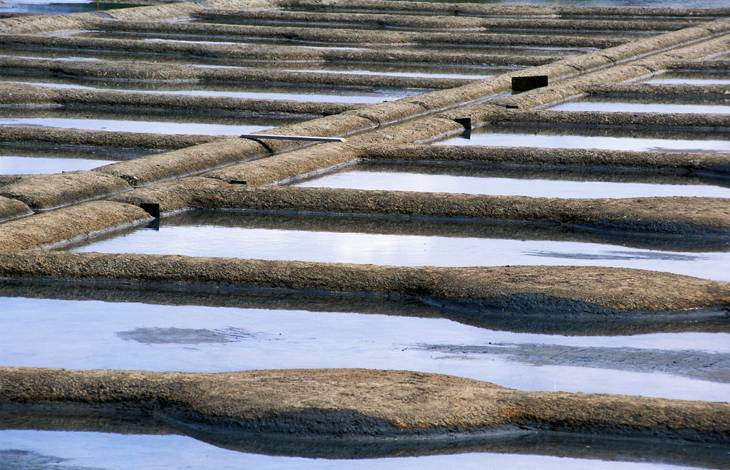 Salzfelder | Guerande, Frankreich - July 18, 2008: Salzfelder. - Realisiert mit Pictrs.com