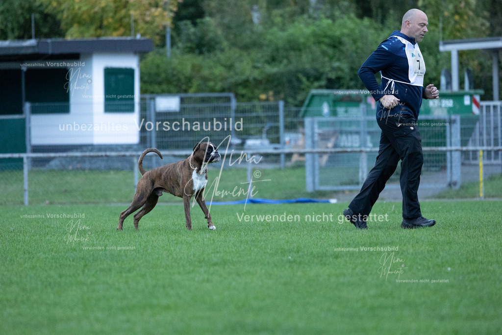 _16A4423 | Einzigartige Fotos von Hunden & Menschen –Actionfotos, Portraits, Vereinsaufnahmen & Paarshootings – authentisch, lebendig & mit Herz.
