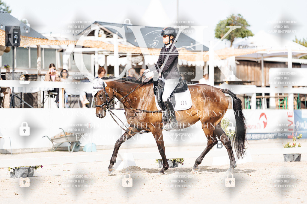 CK905310 | Turnierfotografie Pferdefotografie Trier Rheinland-Pfalz Pferdesport Reitsport Tierfotografie Sportfotografie Pferdevideo Pferdevideografie Equestrianvideography equestrianphotography  - Realisiert mit Pictrs.com