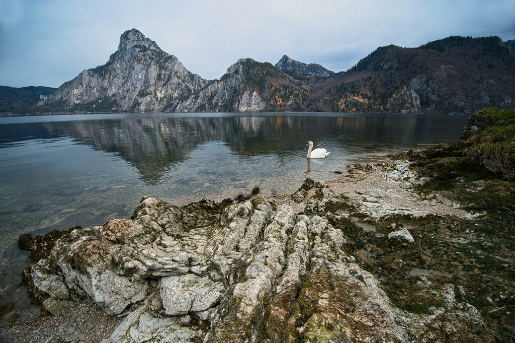DSC_9876 | Unvergessliche Erinnerungen in Bildern festgehalten! Ob Hochzeit, Shooting oder Landschaft  - Ich bin dein Fotograf in Erfurt und Umgebung! Photo-Rauch | Sandro Rauch - Realisiert mit Pictrs.com