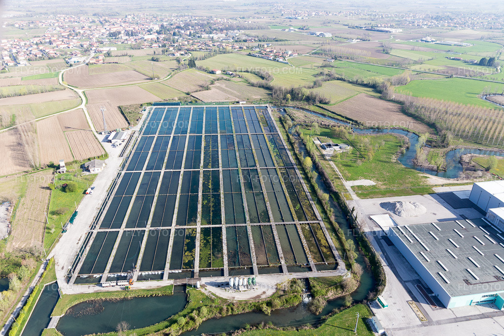 Aerial view: Shore areas of the pond systems for fish farming by Icos professional in the district Orcenico Inferiore in Zoppola in the state Pordenone, Italy. – Photo: IMG_105746.jpg taken on 04/08/2018 by Werner Riehm/FLY-FOTO.com – Resolution of the original: 5472 x 3648 px