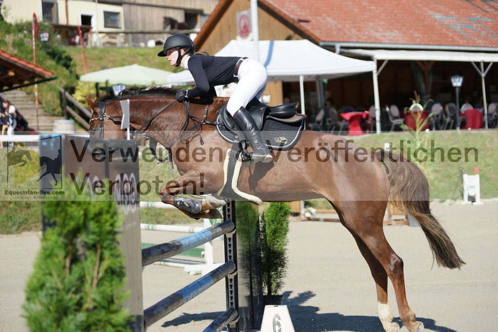 DSC02311 | equestrian-live-com