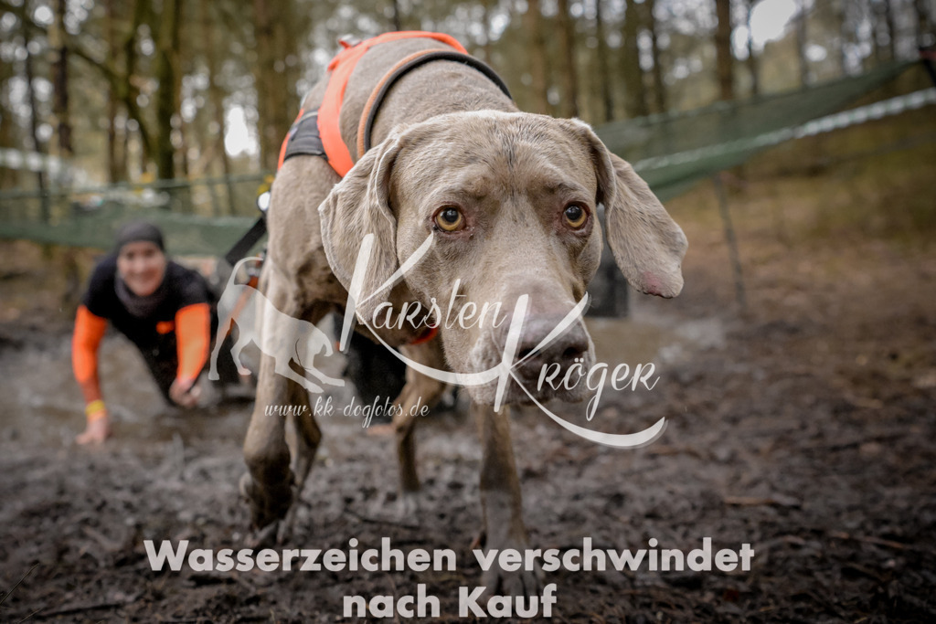 1004_ZZ99267 | kk-dogfotos