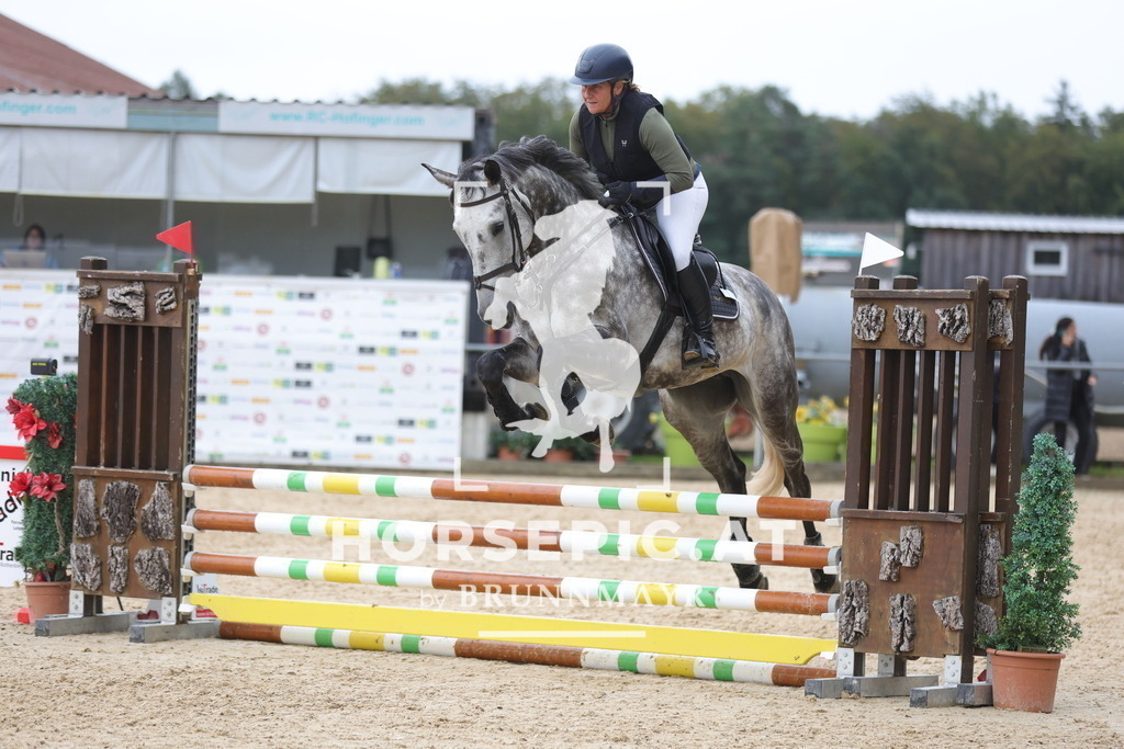 0P6A1597 | Willkommen bei Brunnmayr - Design & Fotografie – Ihrem Spezialisten für Reitturniere und Pferdeveranstaltungen in Oberösterreich, Salzburg und Bayern! Seit über 17 Jahren sind wir leidenschaftlich dabei.