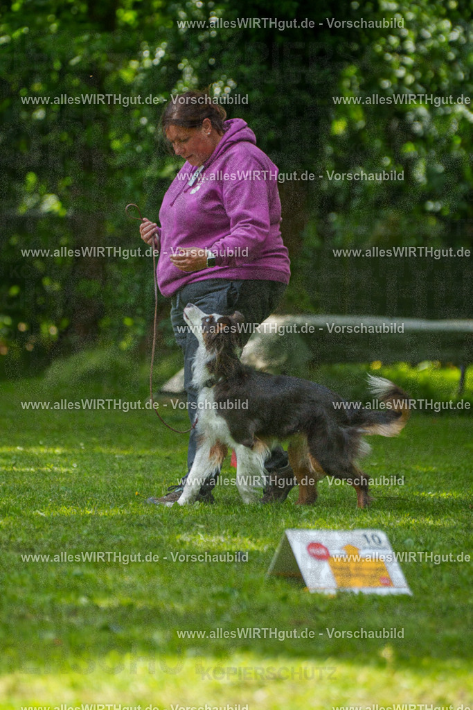 @allesWIRTHgut_Tierfotografie - www.allesWIRTHgut.de - 7R504943 | Professionelle Tierfotografie in Mönchengladbach von Daniel Wirth (allesWIRTHgut). Liebevolle & natürliche Bilder von Hunden & Katzen für unvergessliche Erinnerungen.