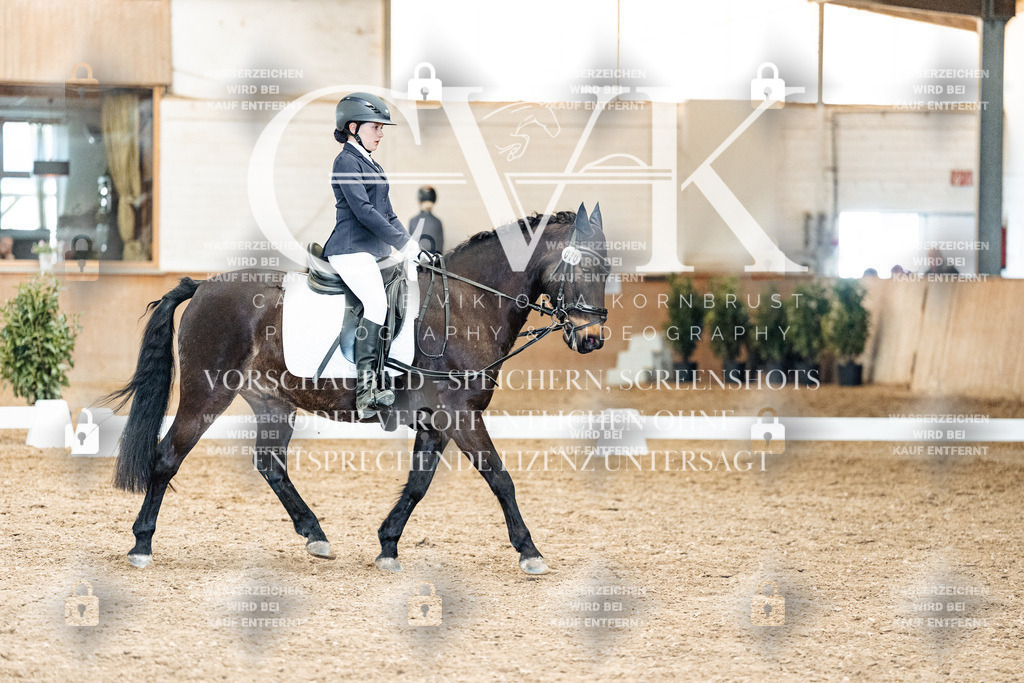 CK900332 | Turnierfotografie Pferdefotografie Trier Rheinland-Pfalz Pferdesport Reitsport Tierfotografie Sportfotografie Pferdevideo Pferdevideografie Equestrianvideography equestrianphotography  - Realisiert mit Pictrs.com