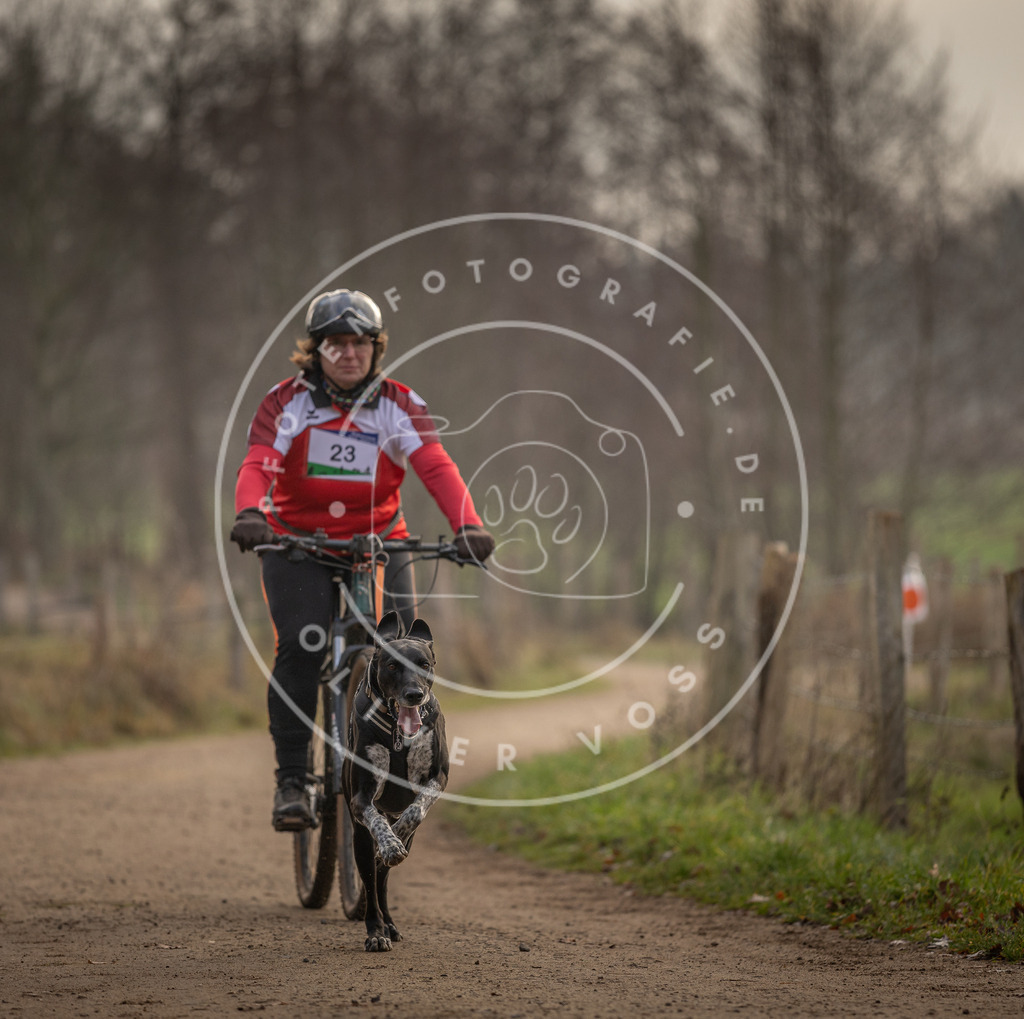 Pfotenfotografie_DV3A1988 | Hundefotografie, Tierfotograf, Pfotenfotografie, Fotoshooting Hund, Hunde Portrait, Hundesport, Hundeportraits, Heideshooting, Hunde, Sportfotograf, Hundefotograf, Turnierhundsport, THS,  - Realisiert mit Pictrs.com