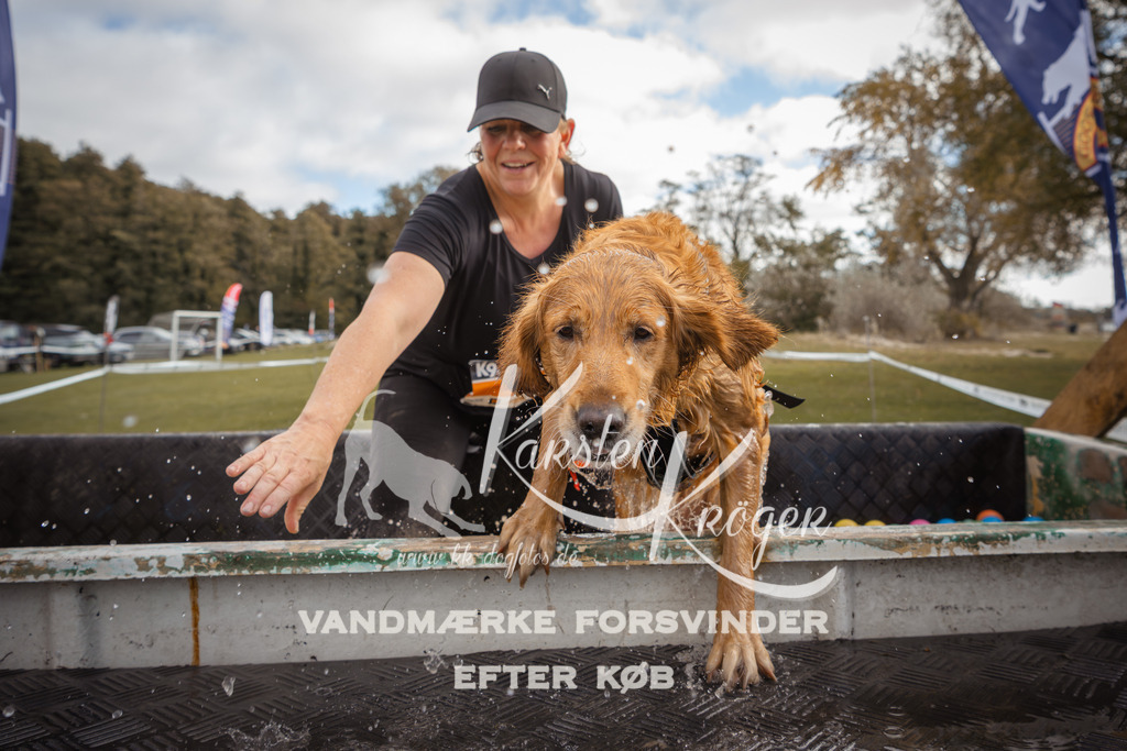 1333_ZZ91343-2 | kk-dogfotos