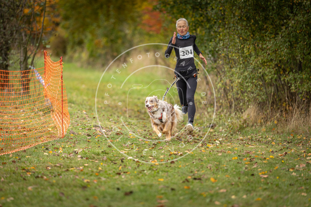 Pfotenfotografie_DV3A4160 | Hundefotografie, Tierfotograf, Pfotenfotografie, Fotoshooting Hund, Hunde Portrait, Hundesport, Hundeportraits, Heideshooting, Hunde, Sportfotograf, Hundefotograf, Turnierhundsport, THS,  - Realisiert mit Pictrs.com