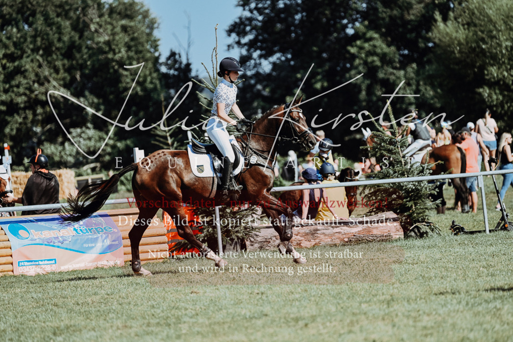 DSC_6749 | Pferde- und Turnierfotografie in Westsachsen. Pferdeportraits, Auftragszeichnungen und intuitive Kunst.
