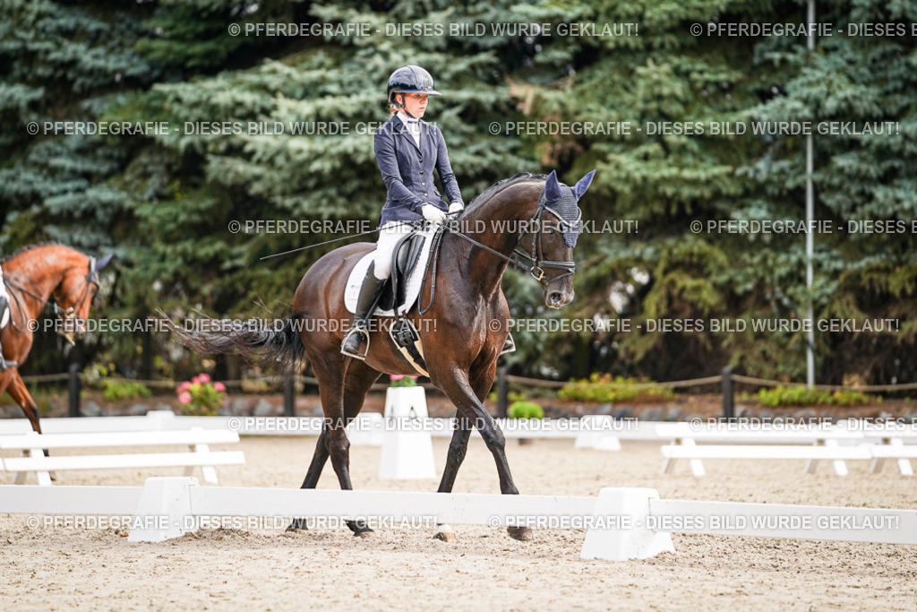 DSC01878 | Pferdegrafie