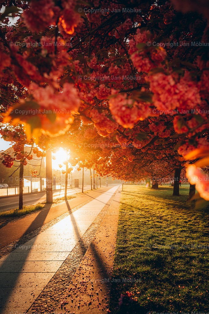 _DSC1722 | Leipzig Wandbilder Drucke Prints Leinwand Stadtmotive Leipzig Fotosdruck Kunstdrucke Bilder Leipzig Stadtansichten Acrylglasbilder Leipzig Wanddeko Fine Art Prints Wandbilder Büro Leipzig Bilder Praxis Zuhause Bilderdruck Poster Posterlounge Kunstdrucke - Realisiert mit Pictrs.com