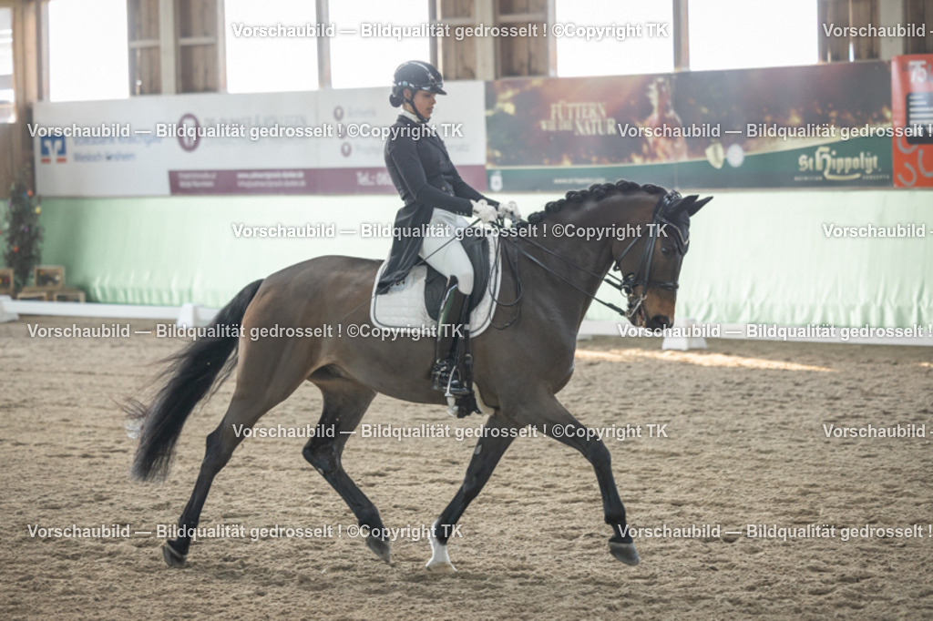 _D5A8039 | Emotionale Pferde- & People-Fotografie rund um Heidelberg, Leimen & Umgebung. Natürliche Fotos von Pferd, Mensch & Familie. Jetzt Termin sichern!