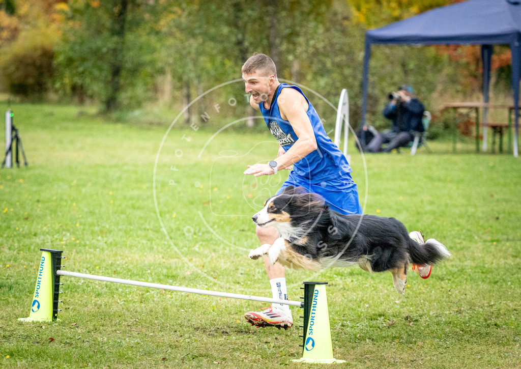 Pfotenfotografie_DV3A0886 | Hundefotografie, Tierfotograf, Pfotenfotografie, Fotoshooting Hund, Hunde Portrait, Hundesport, Hundeportraits, Heideshooting, Hunde, Sportfotograf, Hundefotograf, Turnierhundsport, THS,  - Realisiert mit Pictrs.com