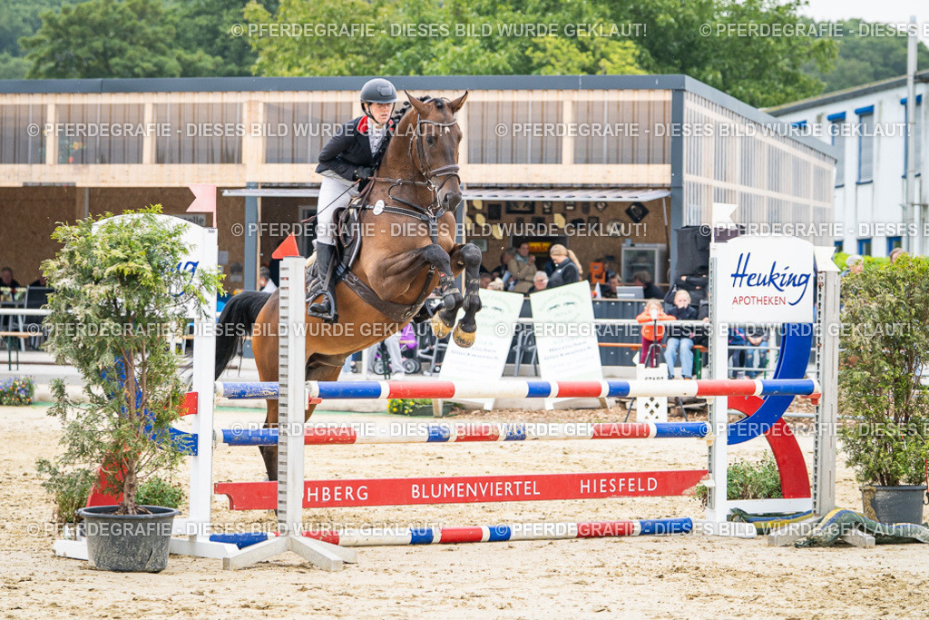 DSC00377 | Pferdegrafie