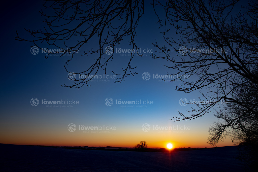 Oberböhringen bei Sonnenaufgang | löwenblicke | shop