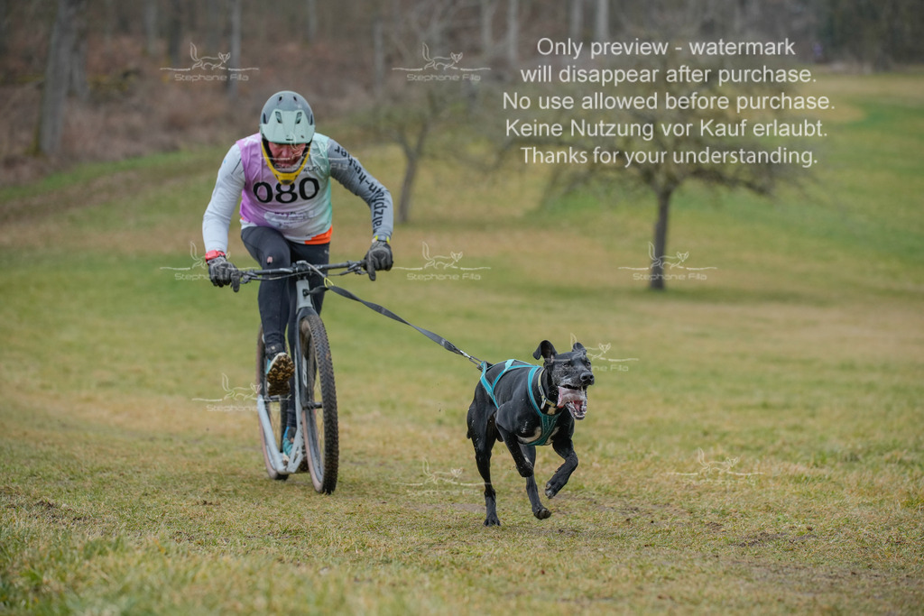 Sa_Scooter1-73 | stephaniefillaphotographie - Realisiert mit Pictrs.com