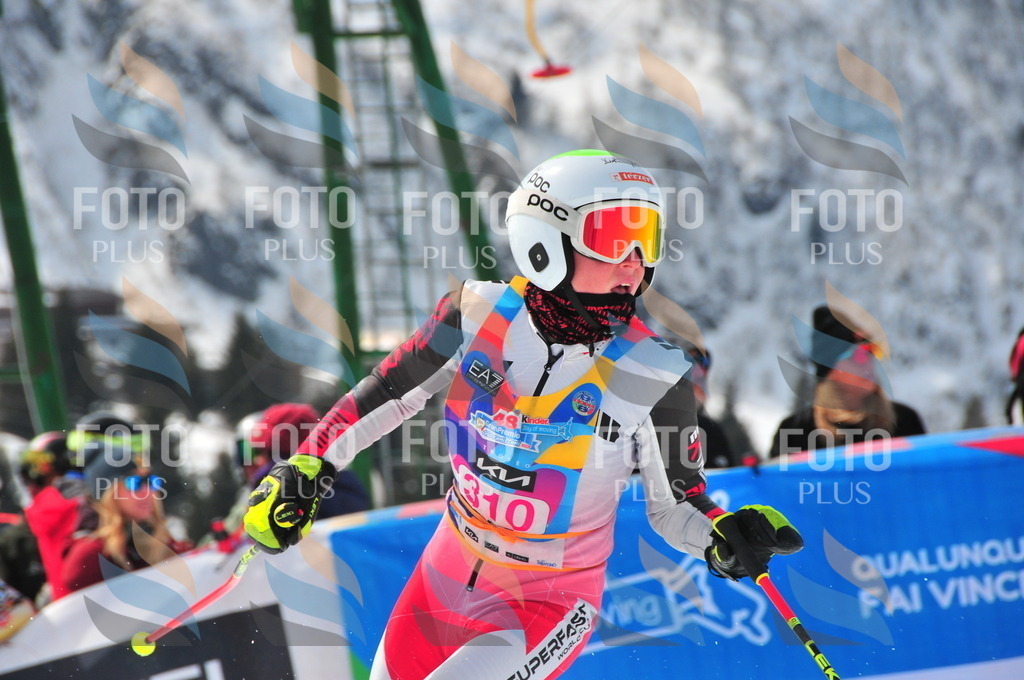 DSC_6636 | holidayphoto