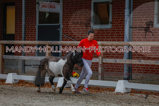 SH (224 von 345) | mandyhollmannphotographie