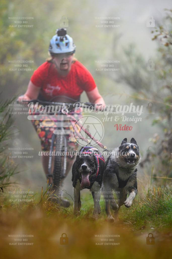 MompixPhotography_20TSB_E4_DS2-4 | PayLife