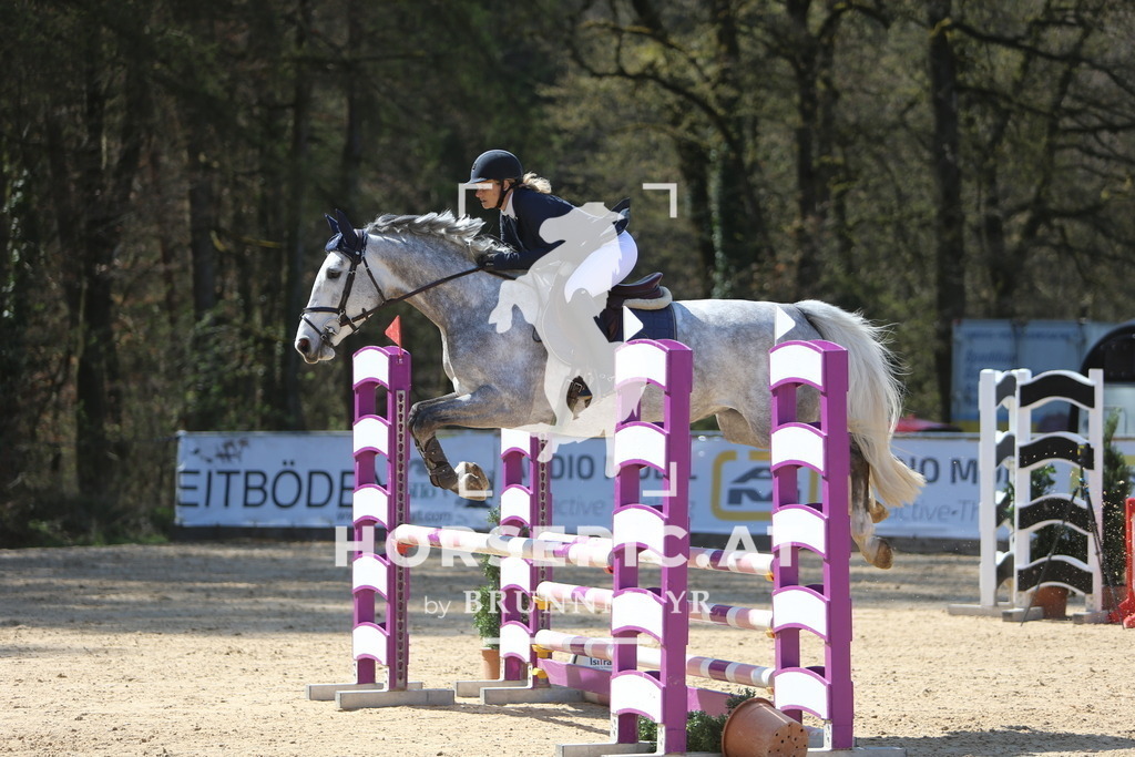 DL2Q0217 | Willkommen bei Brunnmayr - Design & Fotografie – Ihrem Spezialisten für Reitturniere und Pferdeveranstaltungen in Oberösterreich, Salzburg und Bayern! Seit über 17 Jahren sind wir leidenschaftlich dabei.