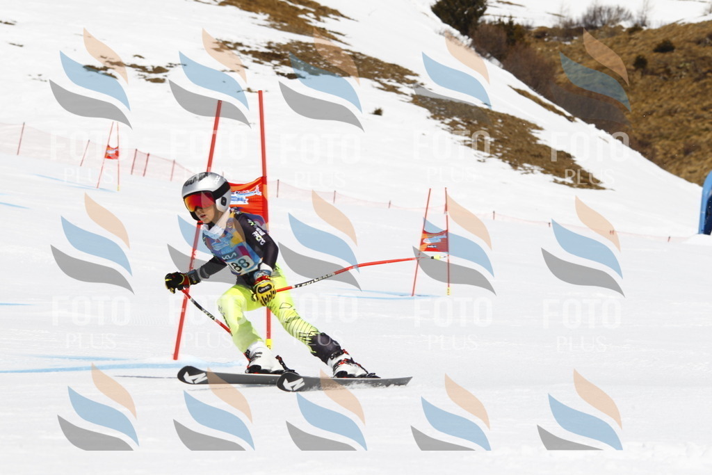 _U3G4935 | holidayphoto