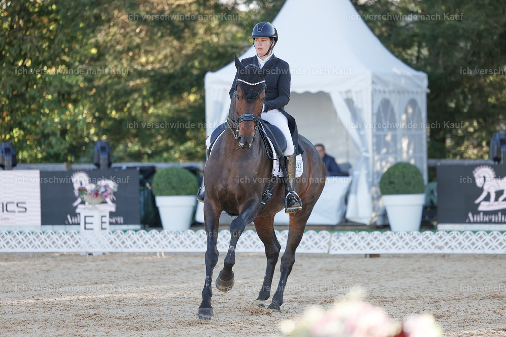09_1-193-DRESSUR  S_  -StoibPH-5486 | working equitationturnier fotograf videograf stoibphotography marixx film working equitation deutschland reitsport turnierfotografie eventfotografie equestrian events