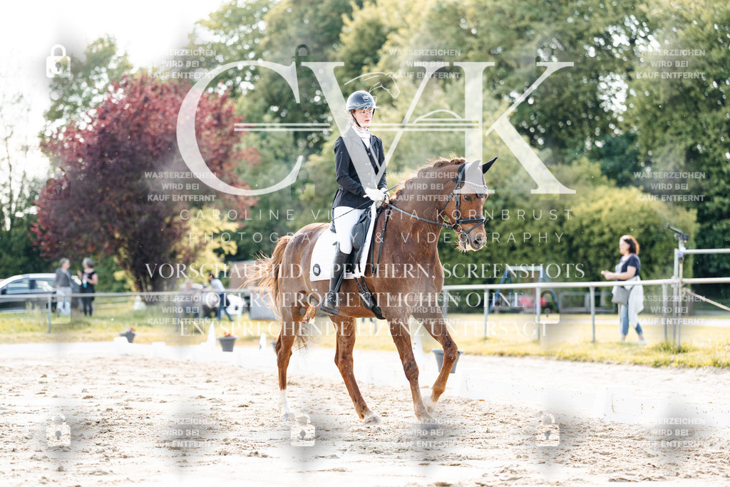 CK909773 | Turnierfotografie Pferdefotografie Trier Rheinland-Pfalz Pferdesport Reitsport Tierfotografie Sportfotografie Pferdevideo Pferdevideografie Equestrianvideography equestrianphotography  - Realisiert mit Pictrs.com