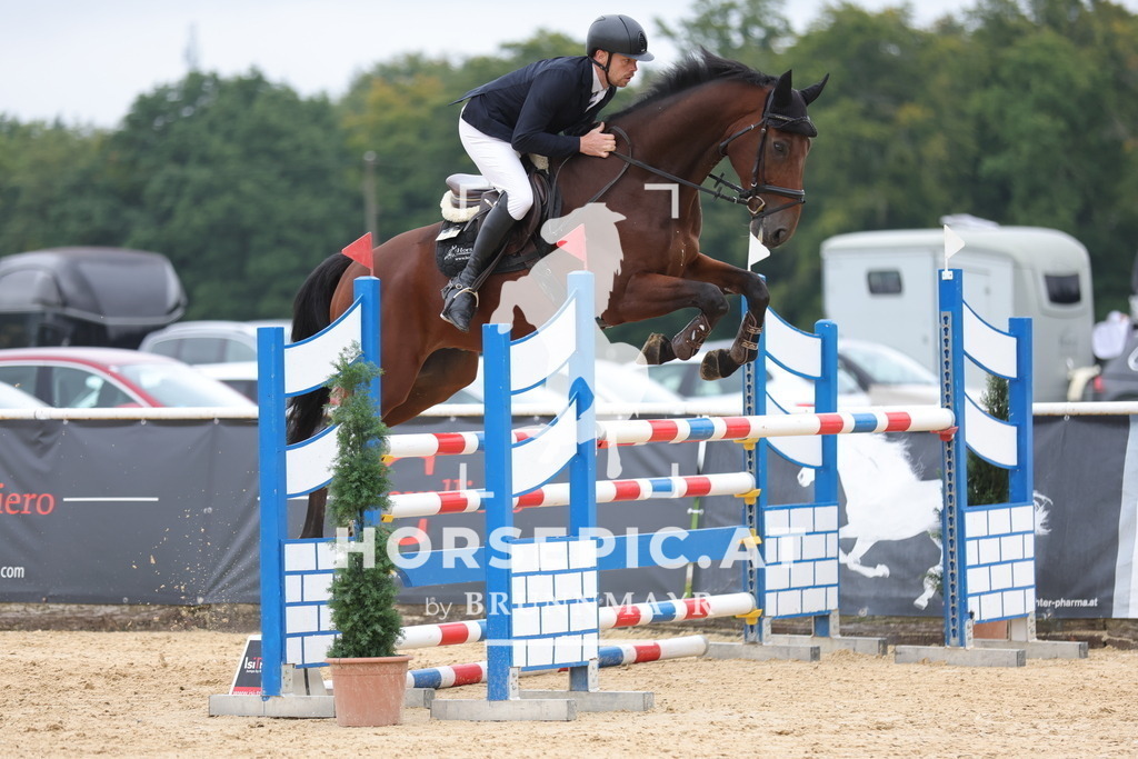 0P6A7018 | Willkommen bei Brunnmayr - Design & Fotografie – Ihrem Spezialisten für Reitturniere und Pferdeveranstaltungen in Oberösterreich, Salzburg und Bayern! Seit über 17 Jahren sind wir leidenschaftlich dabei.