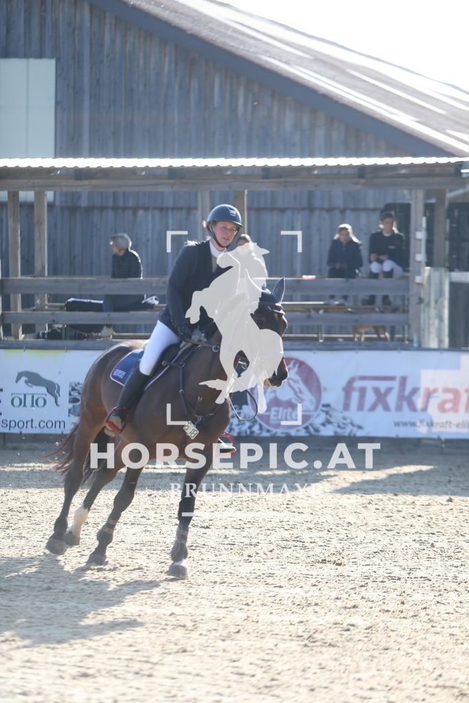 DL2Q0124 | Willkommen bei Brunnmayr - Design & Fotografie – Ihrem Spezialisten für Reitturniere und Pferdeveranstaltungen in Oberösterreich, Salzburg und Bayern! Seit über 17 Jahren sind wir leidenschaftlich dabei.