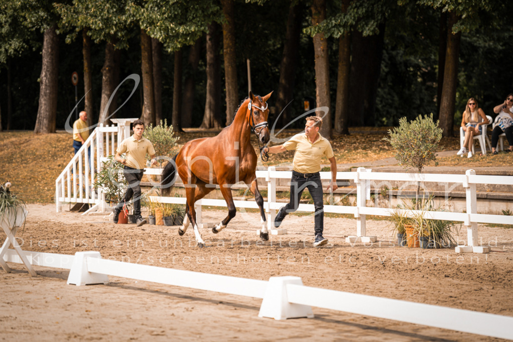 6.Fr00100 | Leoni Ertmer Photography - Realisiert mit Pictrs.com