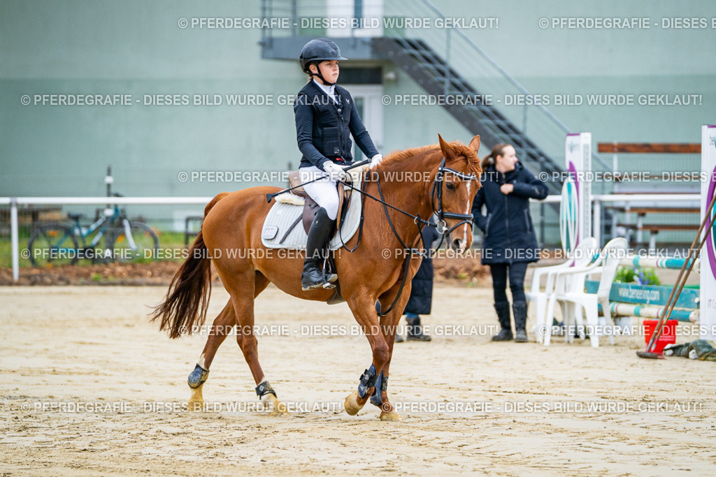 DSC01561 | Pferdegrafie