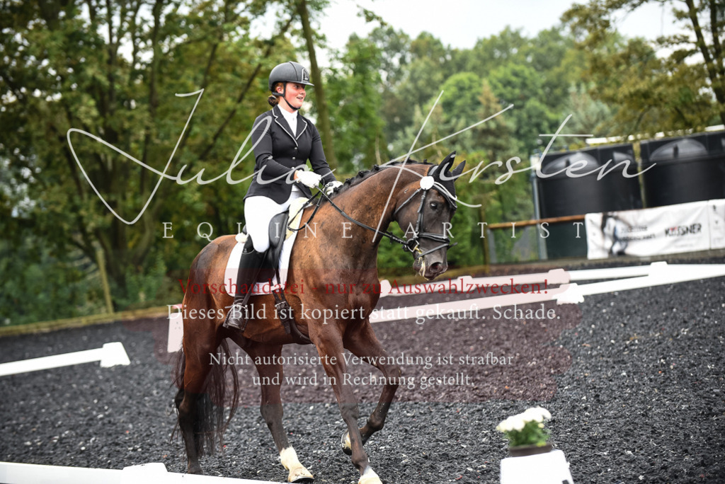 DSC_2821 | Pferde- und Turnierfotografie in Westsachsen. Pferdeportraits, Auftragszeichnungen und intuitive Kunst.